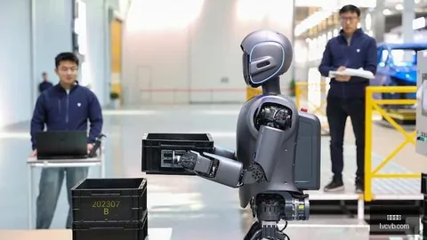 2026女篮世界杯深度解析数据分析全面剖析，备战有信心